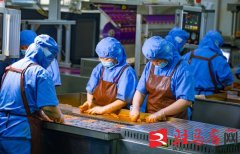 西平县俏嘴巴：休闲食物加工产销旺 